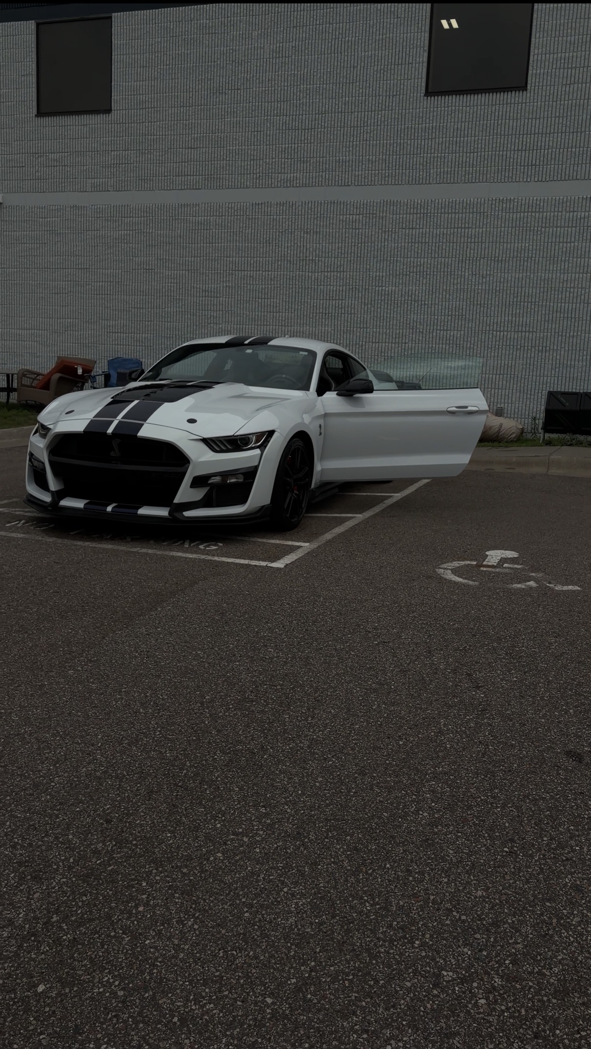 Detailed Ford Mustang Shelby GT500